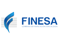 Finesa